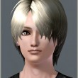 Acedia (Hair for The Sims3)