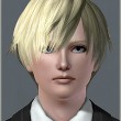 Avaritia (Hair for The Sims3)