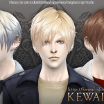 3kan4on (The Sims4 Male + Female hair)